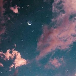 Meet your Posher, Ally